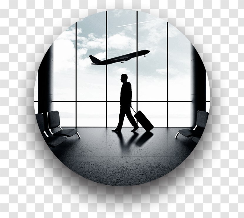 Montego Bay Travel Business Airport Company - Novak Djokovic Transparent PNG