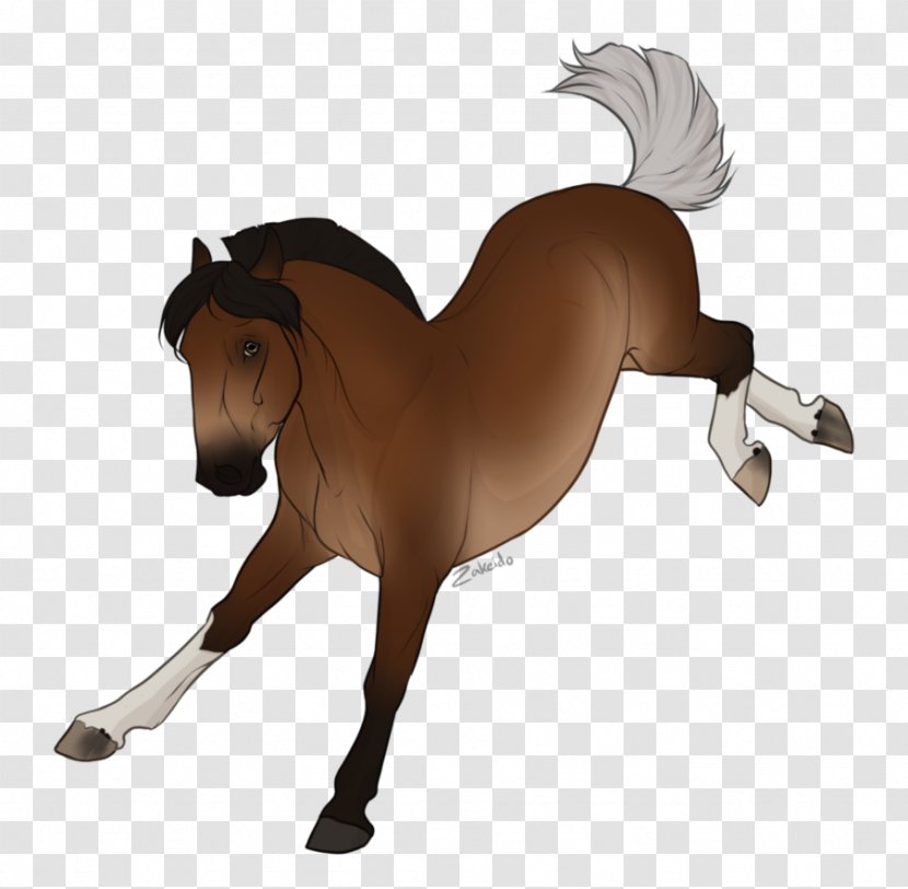 Mane Mustang Stallion Mare Pony Transparent PNG