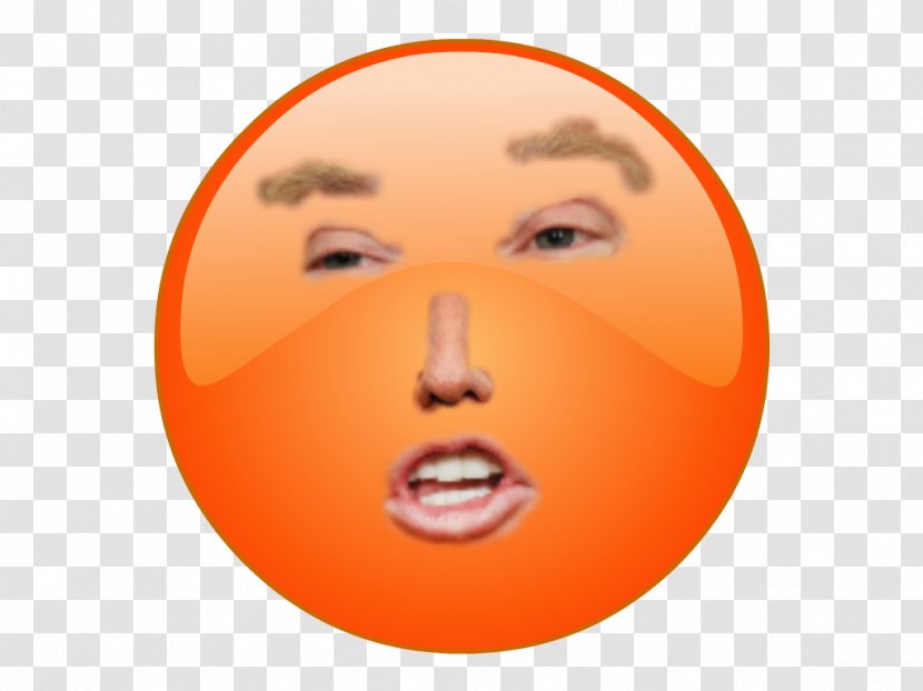 Donald Trump United States Shrug Emoji Republican Party - Turkey Transparent PNG