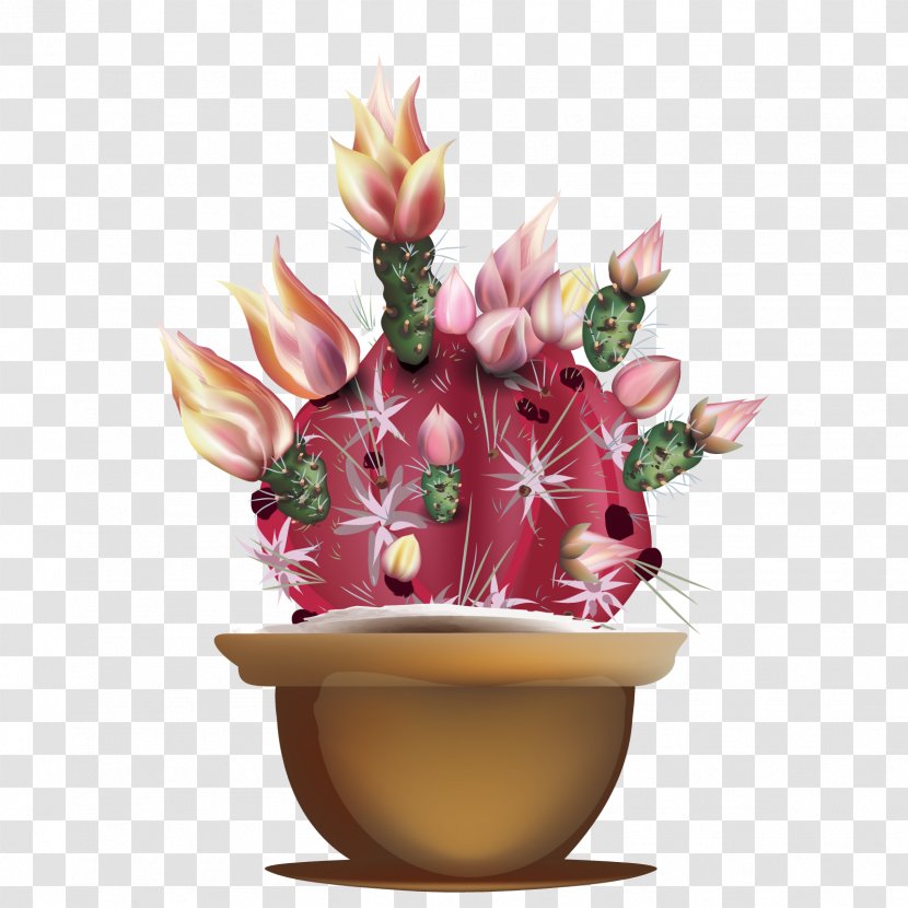 Floral Design Cactaceae - Cut Flowers - Vector Cactus Bonsai Transparent PNG