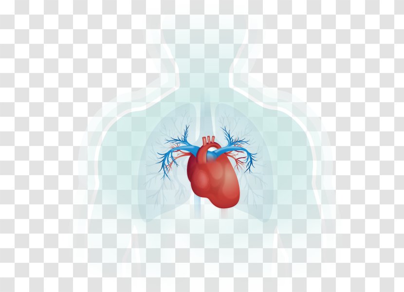 Heart Background - Neck - Hm M095 Transparent PNG