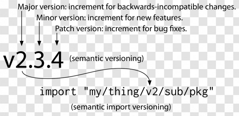 Software Versioning Go Semantic Computer Compatibility Increment And Decrement Operators - Library - Rectangle Transparent PNG