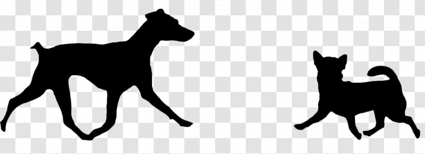 Dog Breed Cat Brazilian Terrier Chihuahua Fila Brasileiro - Like Mammal - Shi Tzu Transparent PNG