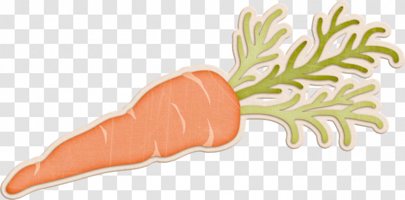 Carrot Clip Art - Vegetable Transparent PNG