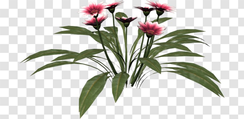 Cut Flowers Flowerpot Plant Stem Petal - Herbaceous Transparent PNG