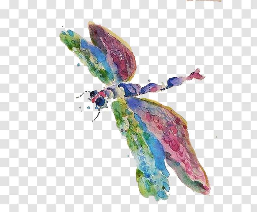 Watercolor Painting Animal Tencent QQ Avatar Illustration - Designer - Color Watermark Dragonfly Transparent PNG