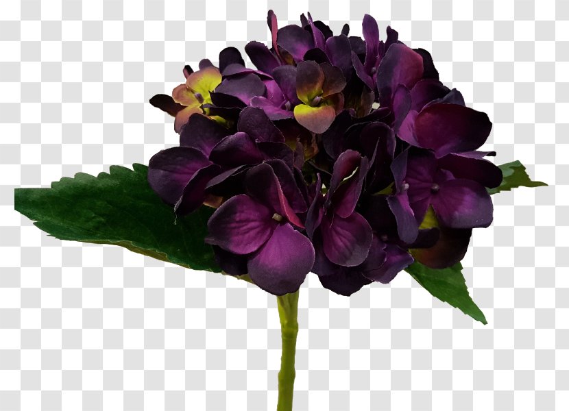 Cut Flowers Hydrangea Eggplant Violet - Family - Artificial Mala Transparent PNG