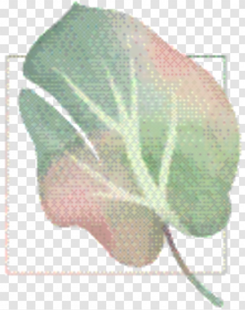 Sweet Pea Flower - Morning Glory Anthurium Transparent PNG