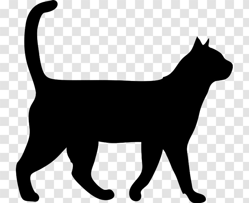 Dog And Cat - Cancer In Cats - Chartreux American Bobtail Transparent PNG