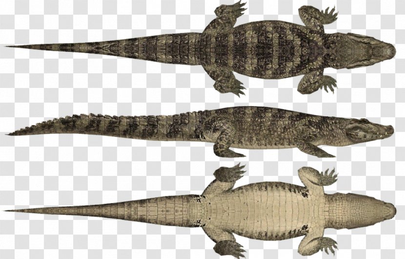 Zoo Tycoon 2: Marine Mania Dino Danger Pack Extinct Animals Endangered Species African Adventure - Chinese Alligator - Saltwater Crocodile Transparent PNG