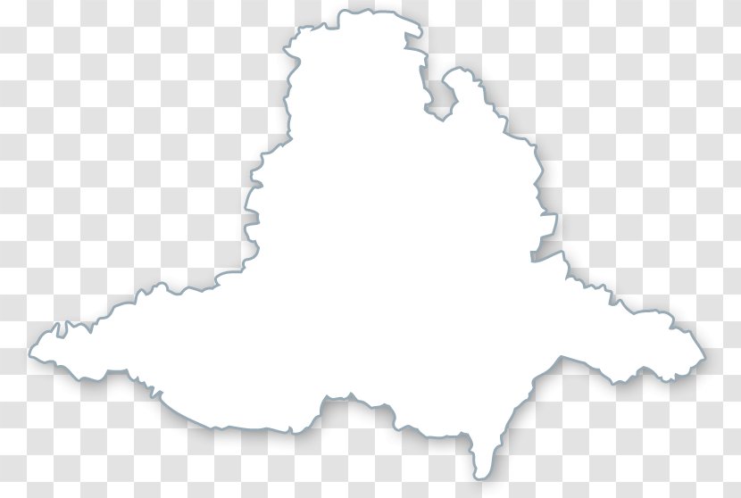 White Line Art Transparent PNG