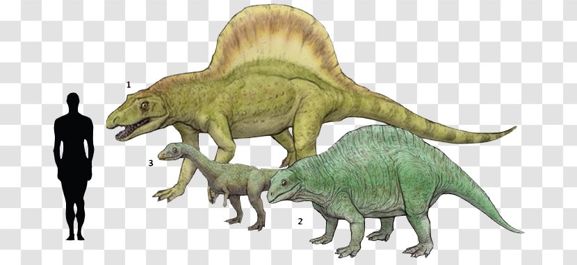 Tyrannosaurus Effigia Lotosaurus Arizonasaurus Spinosaurus - Animal - Animals Dinosaur Transparent PNG