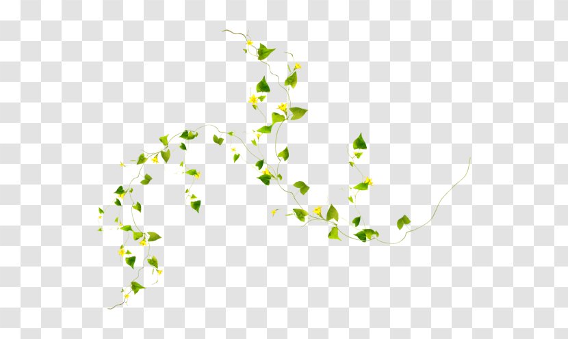 Green Leaf Background - Flower Branch Transparent PNG