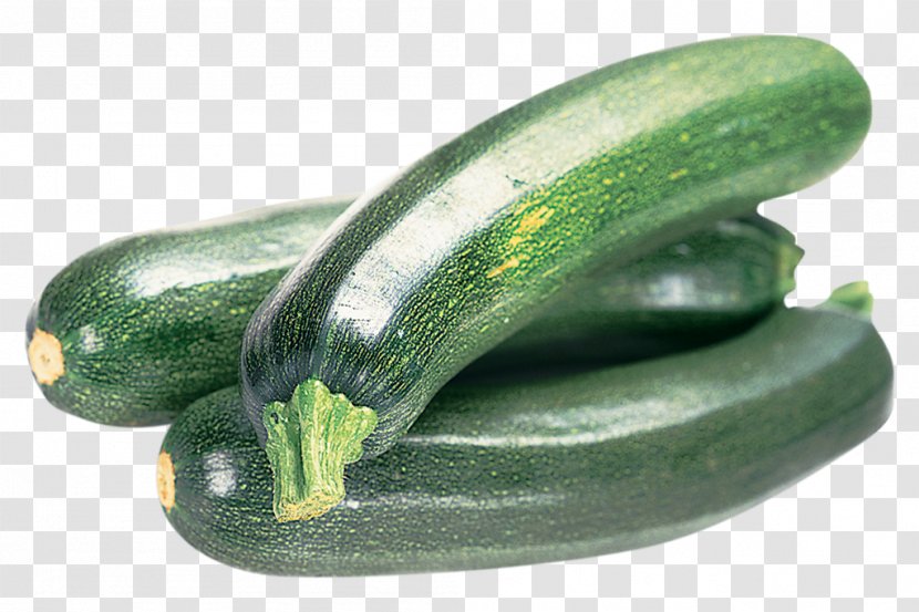 Zucchini Vegetable Cucumber Summer Squash - Pepino - Aquatic Plants Transparent PNG