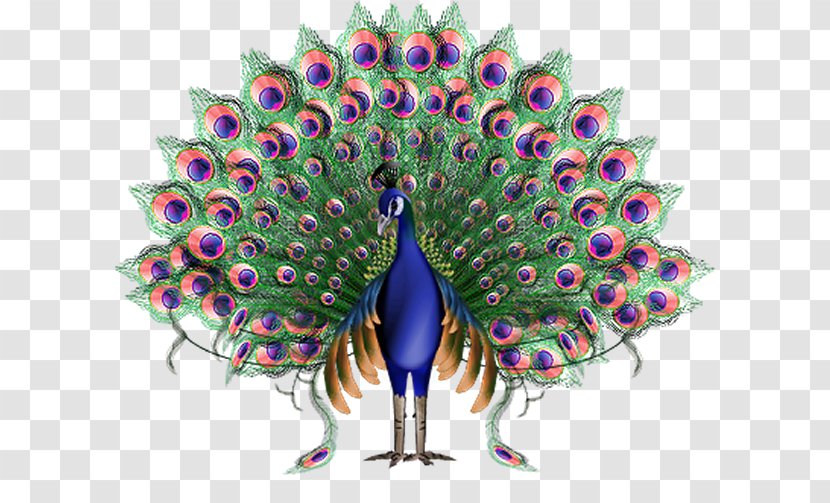 Krishna Animation Peafowl - Phasianidae - Peacock Transparent PNG