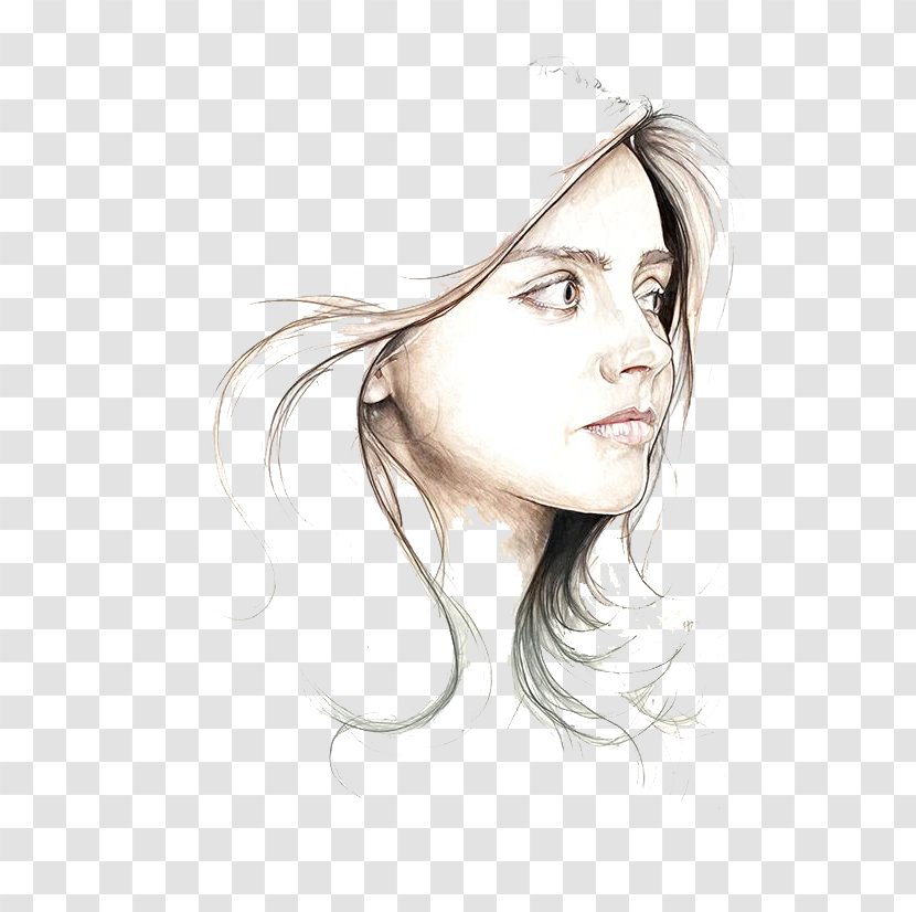 Doctor Amy Pond Rory Williams Donna Noble Clara Oswald - Frame - Sketch Side Beauty Avatar Transparent PNG
