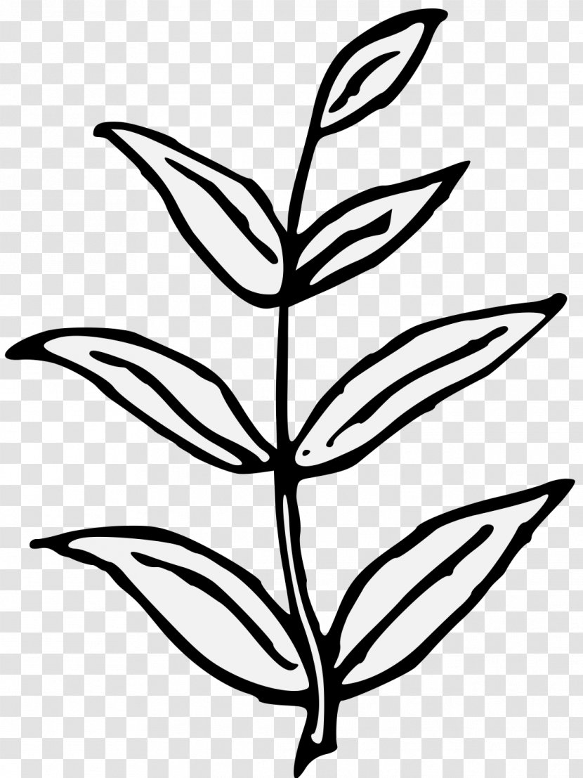 Branch Plant Stem Art Tree Leaf - Heraldry - Flowering Transparent PNG