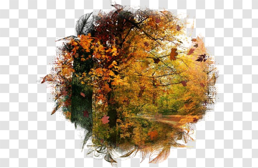 Autumn Desktop Wallpaper Season - Frame Transparent PNG