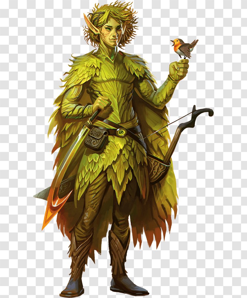 Dungeons & Dragons Pathfinder Roleplaying Game Eladrin Elf Player Character - Ranger - Dnd Transparent PNG