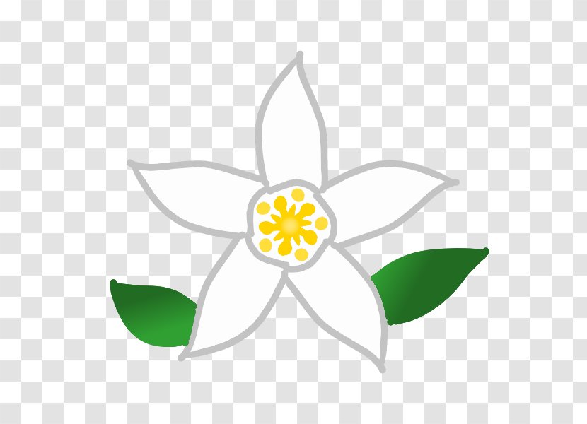 Petal Cut Flowers Plant Stem Leaf Clip Art - Symbol Transparent PNG