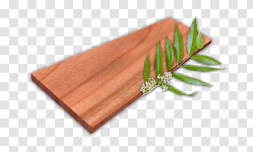 Wood Paper Cedar Drawing Board Building Transparent PNG