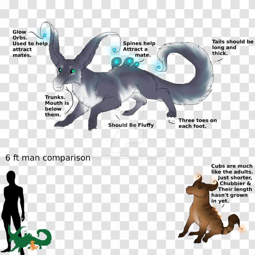 Cat Dog Fauna Mammal Canidae - Forever Kitten Breed Transparent PNG