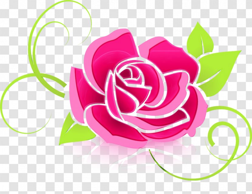 Garden Roses Cabbage Rose Flora Clip Art Vector Graphics - Hybrid Tea - Petal Transparent PNG