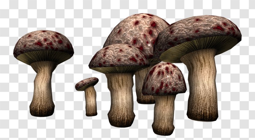Poisonous Mushroom Fungus Clip Art - Parsley Transparent PNG