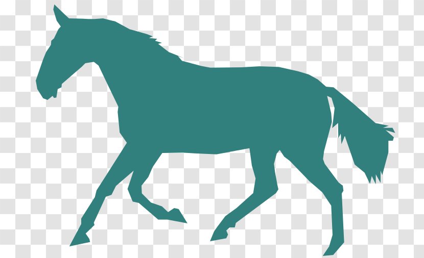 Mule Pony Mustang Stallion Foal Transparent PNG