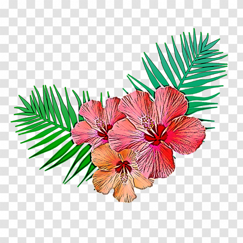 Hibiscus Flower Plant Leaf Petal Transparent PNG