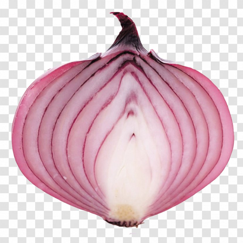 Onion Tears Vegetable - Fresh Purple Transparent PNG