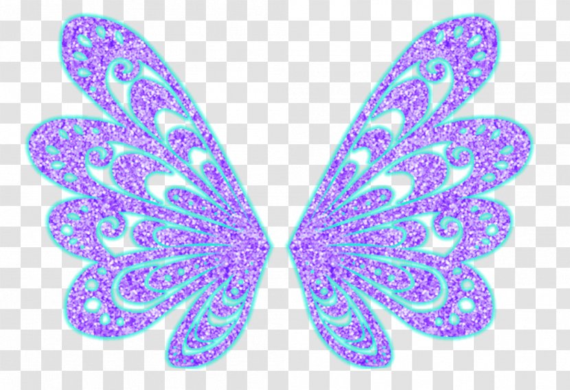 Brush-footed Butterflies Butterfly Symmetry Pattern Transparent PNG