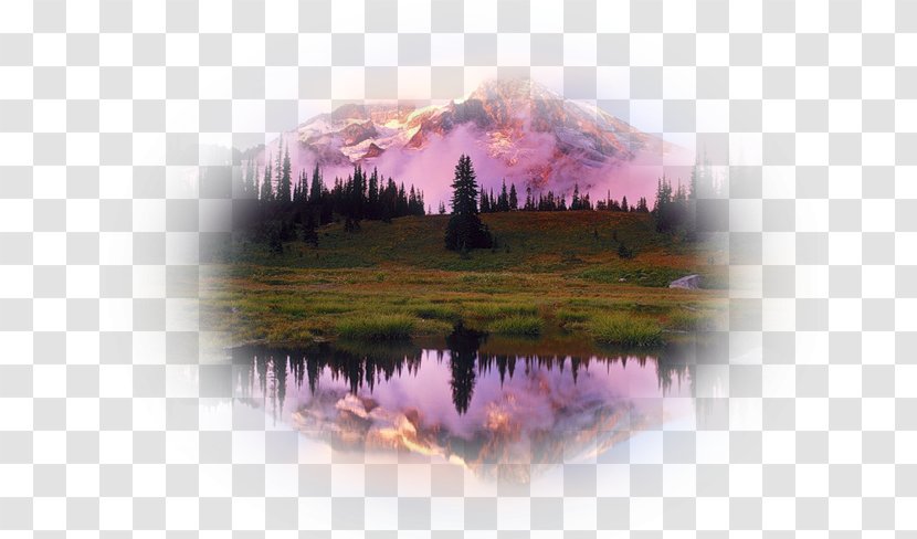 Beautiful Mountain Mount Rainier Landscape - Nature Transparent PNG