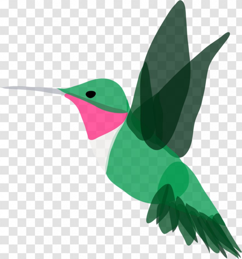 Beak Hummingbird M Leaf Clip Art - Fauna Transparent PNG