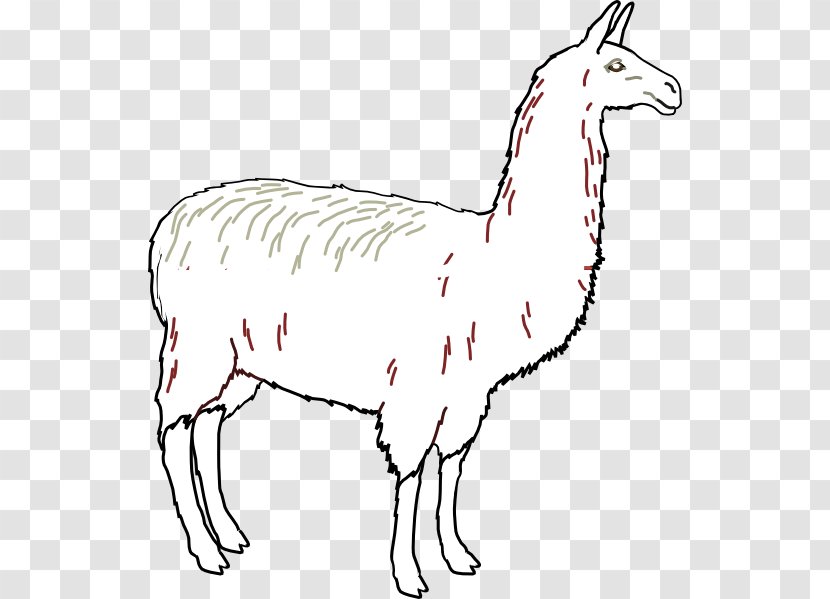 Llama Alpaca Clip Art - Animal Figure - Outline Transparent PNG