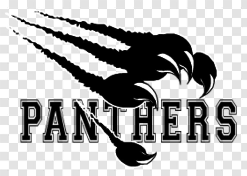 Carolina Panthers Thonon Black American Football Ligue Élite De Américain Clip Art - Pink Panther Transparent PNG