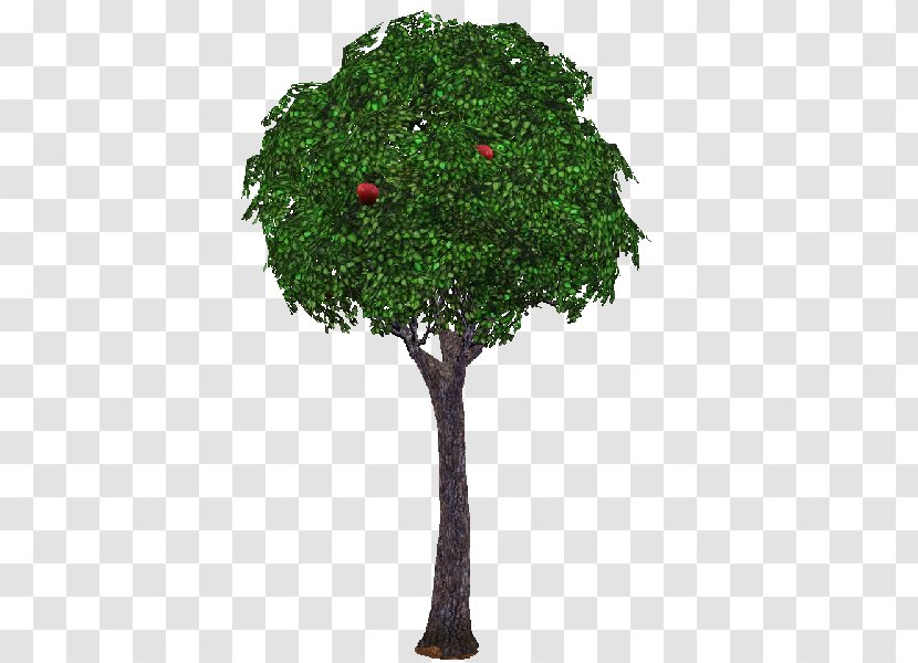 The Sims 3 Branch Tree Garden 4 - Grass Transparent PNG