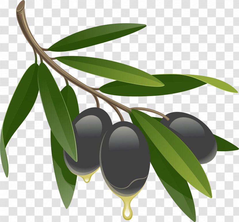 Olive Oil Fluid Ounce - Fruit - Black Olives Transparent PNG