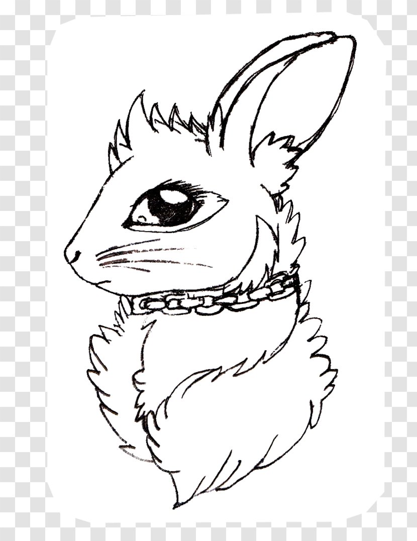 Whiskers Domestic Rabbit Hare Line Art Drawing Transparent PNG