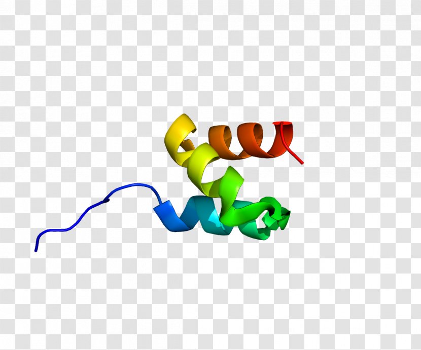 HUWE1 Ubiquitin Ligase Protein - Gene Expression - Dependent Source Transparent PNG