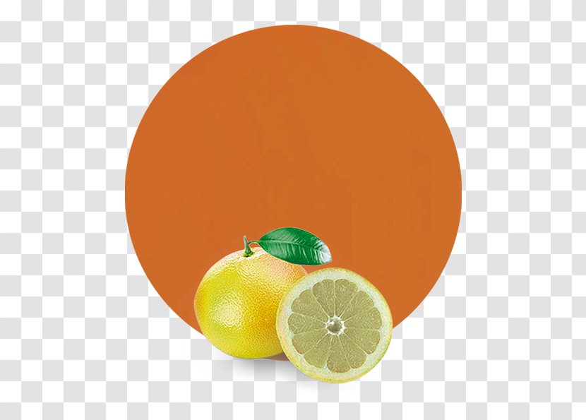 Clementine Grapefruit Tangerine Tangelo Mandarin Orange Transparent PNG