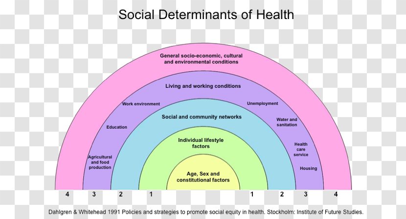 Social Determinants Of Health Care Public Population - Benefit Activities Transparent PNG