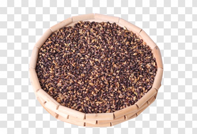 Rice Cereal Tibetan Cuisine Barley - Superfood - Drying Transparent PNG