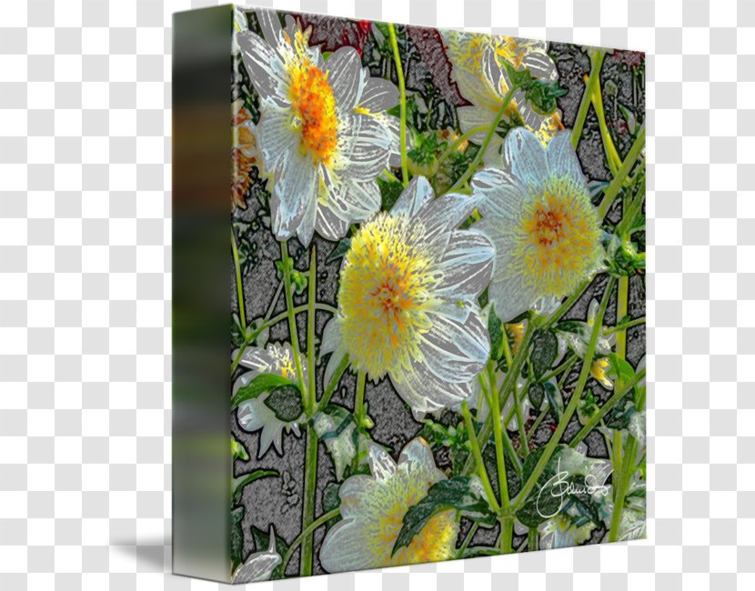 Gallery Wrap Yellow Canvas Daisy Family Art - Watercolor Dahlia Transparent PNG