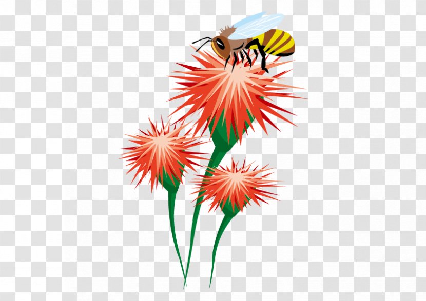 Honey Bee Insect Bumblebee - Flowering Plant - Vector Flowers Transparent PNG