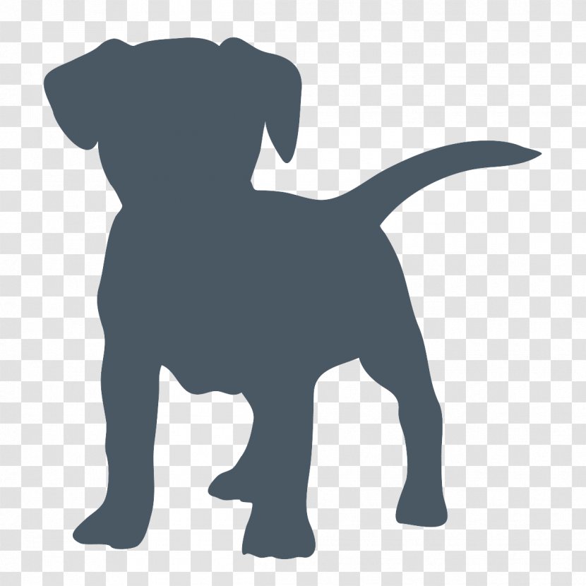 Labrador Retriever Puppy Jack Russell Terrier Golden Newfoundland Dog Transparent PNG