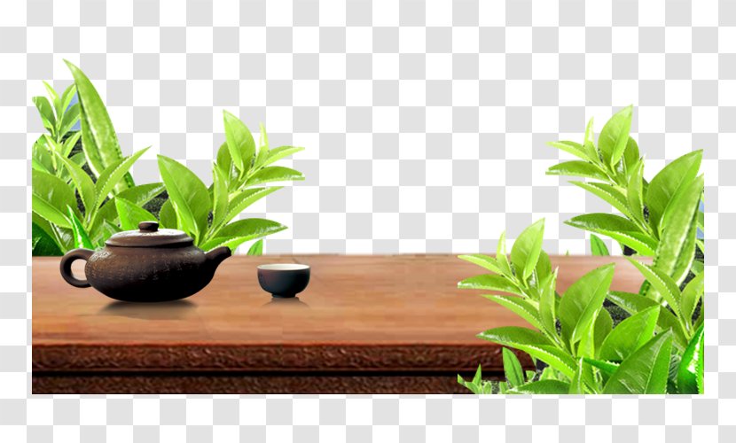 Teapot Icon - Table - Green Leaves Layered Decorative Image Transparent PNG