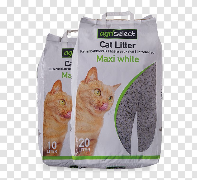 Whiskers Bentonite Cat Litter Trays Kitten - Snout Transparent PNG