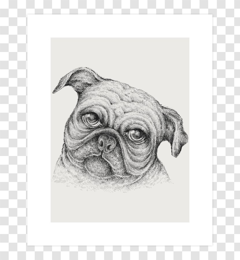 Pug Puppy Dog Breed Drawing Sketch - Love Transparent PNG