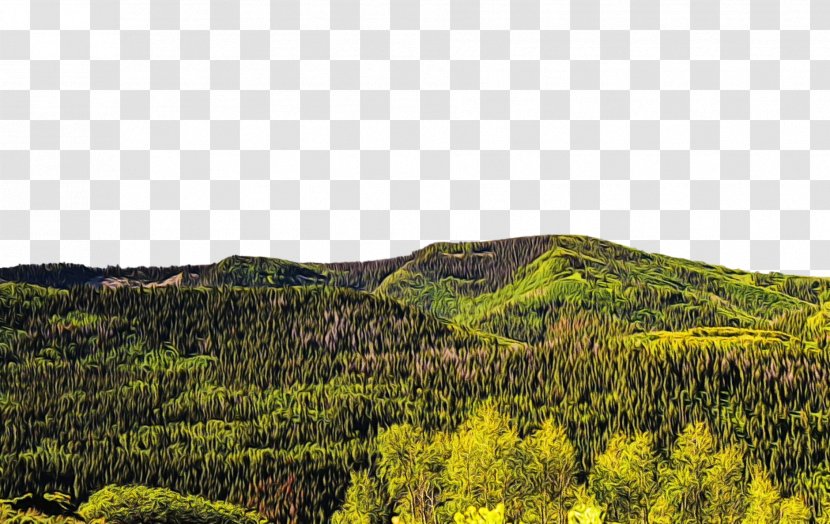 Natural Landscape Vegetation Nature Mountainous Landforms Environment - Hill Station - Wilderness Transparent PNG